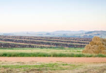 Karan Beef restarts exports, with first shipment headed for Jordan
