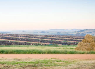 Karan Beef restarts exports, with first shipment headed for Jordan