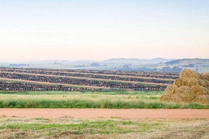 Karan Beef restarts exports, with first shipment headed for Jordan
