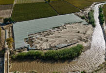 Agriculture central to climate change resilience and response