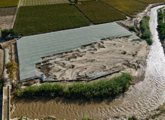 Agriculture central to climate change resilience and response