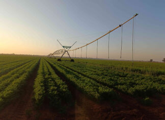 Protecting the harvest: Botswana farmer defends seasonal restrictions