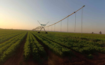 Protecting the harvest: Botswana farmer defends seasonal restrictions