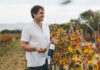 Spier: from early pioneer to modern powerhouse