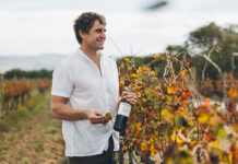 Spier: from early pioneer to modern powerhouse