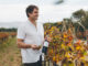 Spier: from early pioneer to modern powerhouse