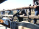 Government expands FMD vaccination drive to Eastern Cape communal farmers