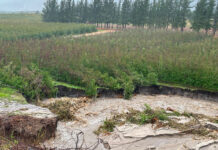 True cost of May floods in Western Cape still unfolding