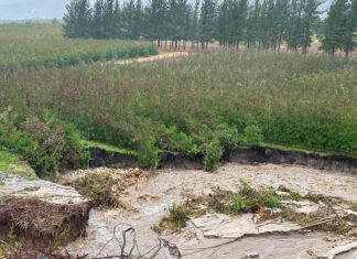 True cost of May floods in Western Cape still unfolding