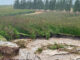 True cost of May floods in Western Cape still unfolding
