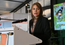 Science, collaboration and market access reviewed at essential oils conference