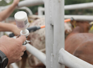 Digital platform aims to simplify FMD vaccination for farmers