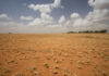 Early-developing El Niño raises risk of hotter, drier summer