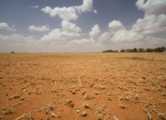 Early-developing El Niño raises risk of hotter, drier summer