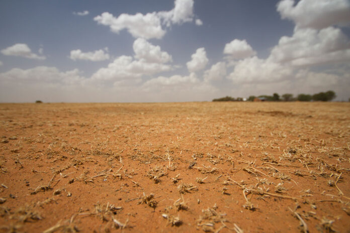 Early-developing El Niño raises risk of hotter, drier summer