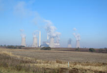 Electricity prices replace load-shedding as farming’s biggest threat