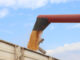 Eastern Cape launches R80m grain commercialisation initiative