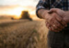 Thinking of selling your farm? Here’s what you need to know