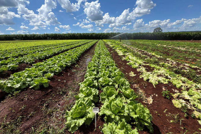 Brazilian agriculture is shifting global perceptions
