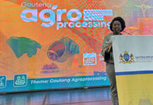 Gauteng expo highlights progress in agro-processing industry