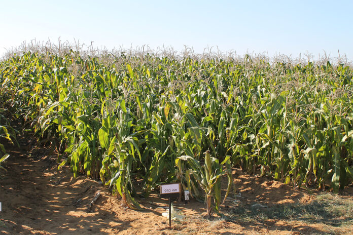 How to conserve moisture in dryland farming systems