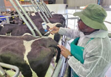 Private veterinary channel approved to expand FMD vaccine access