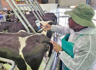 Private veterinary channel approved to expand FMD vaccine access