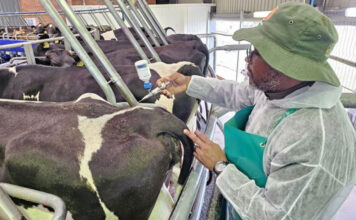 Private veterinary channel approved to expand FMD vaccine access