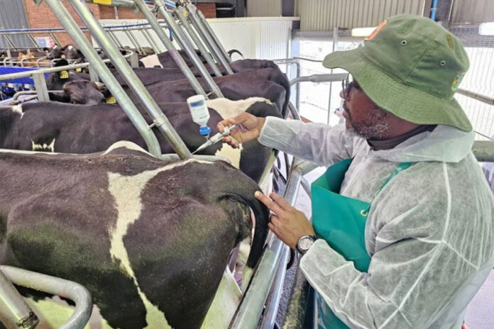 Private veterinary channel approved to expand FMD vaccine access