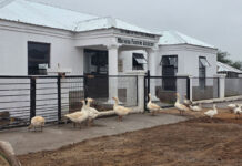 Limpopo academy brings practical, on-farm training to local farmers
