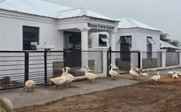 Limpopo academy brings practical, on-farm training to local farmers