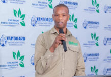 How Eswatini smallholders are adapting to climate change