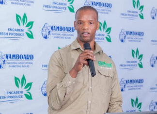 How Eswatini smallholders are adapting to climate change