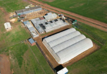 Nampo Cape broadens focus with vegetable farming seminar