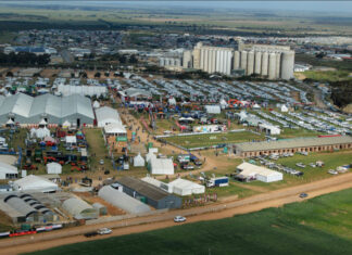 Nampo Cape 2026 to put innovation and collaboration centre stage