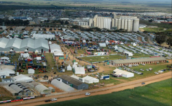 Nampo Cape 2026 to put innovation and collaboration centre stage