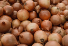 Mozambique’s import substitution plans present opportunities for SA