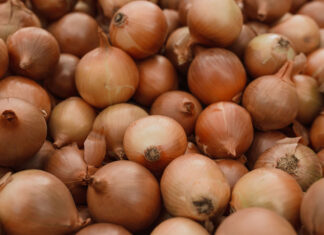 Mozambique’s import substitution plans present opportunities for SA