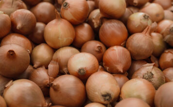 Mozambique’s import substitution plans present opportunities for SA