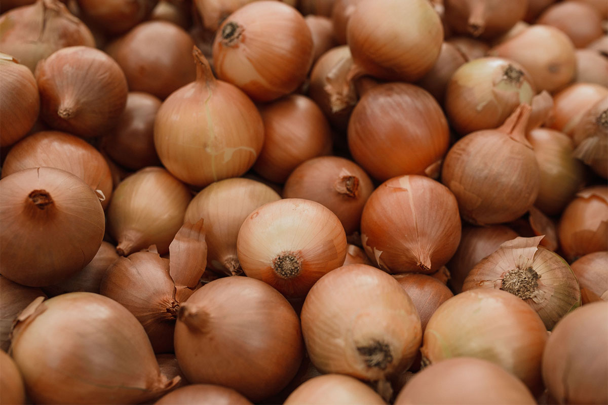 Mozambique’s import substitution plans present opportunities for SA