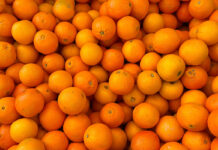 Tax ruling against citrus producer could affect other farmers oranges