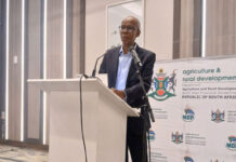 Government unveils strategy to boost South Africa’s bee industry