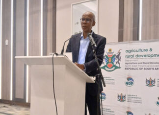 Government unveils strategy to boost South Africa’s bee industry