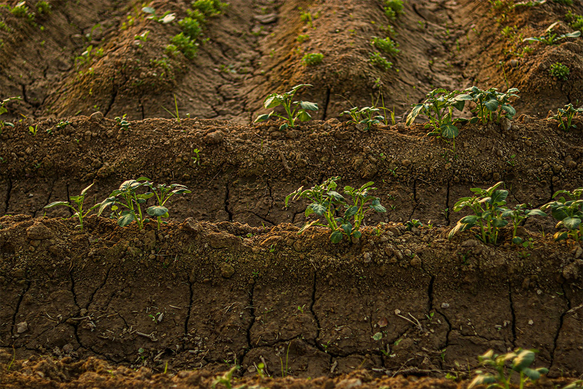 Soil health defined by function, shaped by context