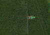 Timing of fungicide applications is crucial