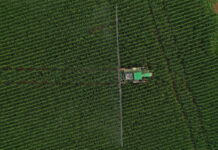 Timing of fungicide applications is crucial
