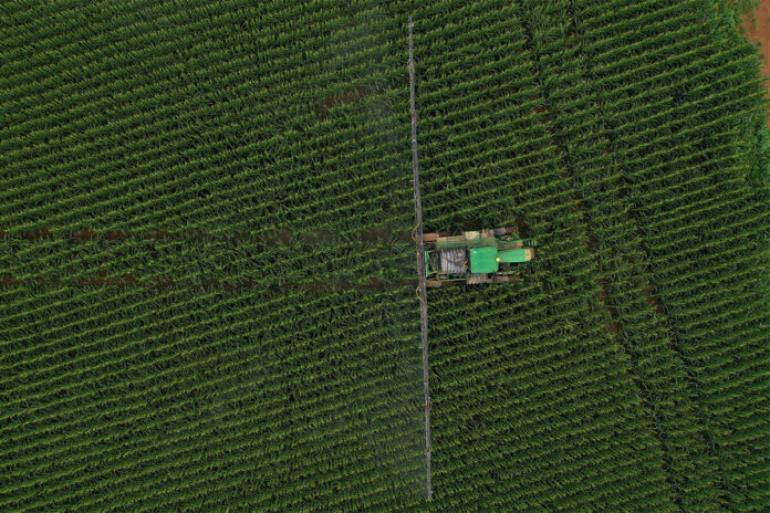 Timing of fungicide applications is crucial