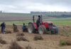 Searching for the vines of the future