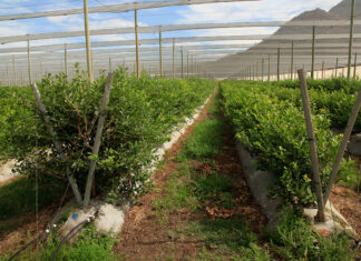 Building water resilience at Le Arc