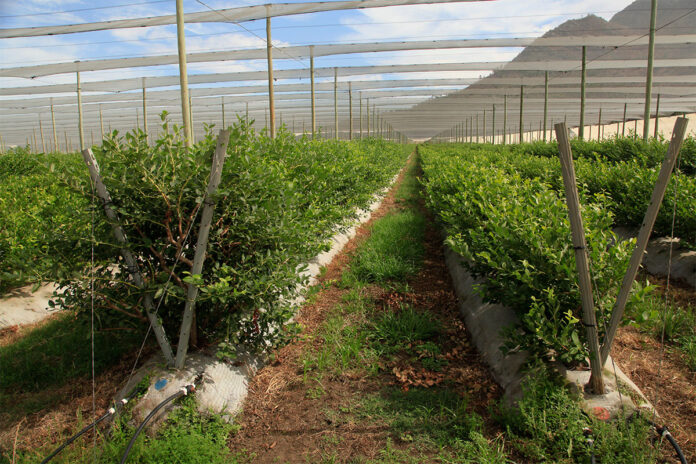 Building water resilience at Le Arc